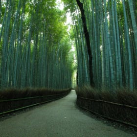 京都
