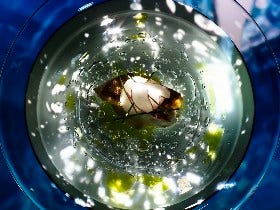 食体験とアート体験を「同時」に味わうと、人はどうなる？ NAKEDが始動。最先端体験型レストラン