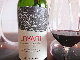 高コスパだけじゃない！ 今のチリワインの世界がわかる、プロ絶賛の素晴らしき「チリワイン」4選