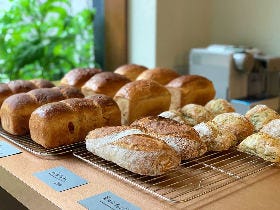 根津の名ビストロ『Cise（チセ）』がパンまでおいしいと超話題！ 絶対に外さない、おすすめの人気店