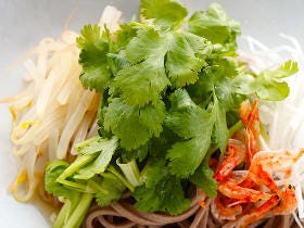 麺から保存調味料までパクチー三昧！ やみつき必至のパクチー食べきりレシピ