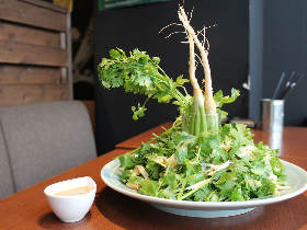 パクチー好き必見！　パクチー追加し放題が超リーズナブルにできる、夢のようなパクチー専門店を新宿で発見