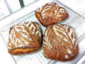 8月8日から奥渋谷で3週間限定オープン！パリのスゴ腕パン職人による、ぱんや居酒屋『アヒルの夏休み』