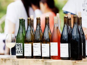 ワインイベント「SAYS DAYS」はフリーフロー、土産付き！ 激レア「ワイン」を大自然で味わおう