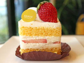 ふわっととろけるショートケーキが絶品！『モンサンクレール』出身パティシエが開いた超話題のスイーツ店