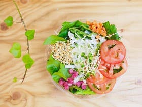 自家栽培のサラダビュッフェが身体に優しい、六本木・ヴィーガンサラダ専門店『ドットロー』