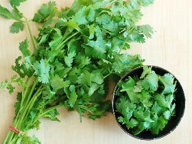 こんな料理にものっけるの!? プロ直伝のおうちでパクチー三昧レシピ