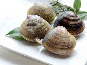 ひな祭りにハマグリ料理を探す人が増えているのは婚活のためだった!?