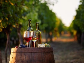 フランスの「三大 ロゼ」って知ってる？  ワインと旅する【ツール・ド・フランス】