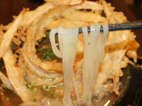 モッチモチ＆つるんっつるん！ 福岡のご当地「豊前うどん」が東京で味わえる『大地のうどん』【高田馬場】