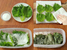 大葉の長期保存には「塩漬け」がオススメ！ ご飯に混ぜるだけでもおいしい「大葉の塩漬け」の簡単レシピ