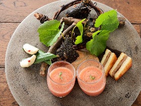 一流の味を気軽に！ あの『フジマル醸造所』が名門出身シェフを迎えて秘密のフレンチをオープン