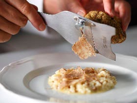 秋の食材の王様「白トリュフ」を堪能！都内ラグジュアリーレストランの期間限定「白トリュフフェア」まとめ