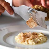 秋の食材の王様「白トリュフ」を堪能！都内ラグジュアリーレストランの期間限定「白トリュフフェア」まとめ