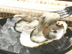 極上の牡蠣のみが持つ【４つの条件】を満たしたオイスターバーが赤坂にあった！