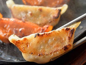 餃子ラバー大歓喜！ 肉巻餃子、激辛餃子、フォアグラ餃子など絶品「餃子」が大集結の「餃子フェス」が開催