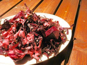 美意識高い系バルが銀座に登場！朝摘み野菜で一日をリセット