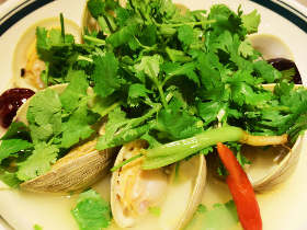 パクチー信者も食わず嫌いも、絶対にとりこになる！　恵比寿に突如現れたパクチーの楽園に行ってみた