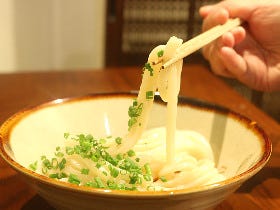 ツルッとのどごしが絶品の「うどん」とちょい飲みが最高すぎ！ 毎日でも通いたい、高円寺の「うどん酒場」