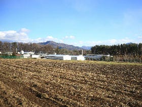 【連載】あなたの知らない日本の食材