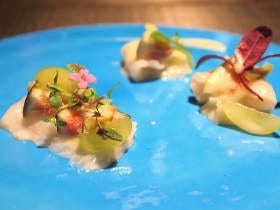 キャビアも肉も食べ尽くす！チョウザメ料理が味わえるイタリアン