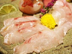 白身のトロ“のどぐろ”が絶品！ 銀座の『のどぐろ専門 銀座中俣』で本物ののどぐろを味わい尽くせ