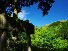 標高1,273メートルで味わう、体に染みる極上の一皿