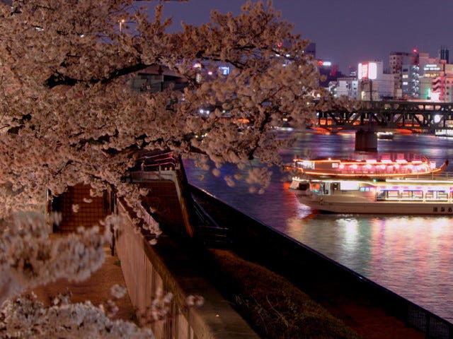 夏だけじゃない！お花見デートにもオススメな進化系「屋形船」が２月から注目されるワケ