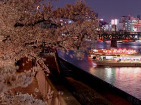 夏だけじゃない！お花見デートにもオススメな進化系「屋形船」が２月から注目されるワケ