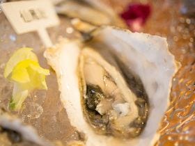 牡蠣師厳選「鼓動する生きた牡蠣」を一度は食べてみるべし！ 海水までにもこだわるオイスターバー