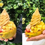 【ソフトクリームの上手な撮り方】「いいね」が倍増！ カメラマン直伝、SNSウケ抜群な撮影法とは!?　