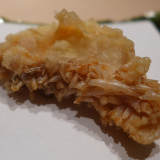 静岡で見つけた驚くべき天ぷら！　通い詰めることをオススメ！【食の賢人が選ぶ2016年の最高のひと皿】