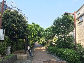 震災も、ウイルスも、人を倒すことはできない。三軒茶屋『JOE’SMAN2号』高崎丈さんの決意