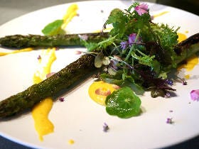 八百屋が開いたフレンチレストラン『ネトル』は、絶品野菜を堪能できる新体験空間だった【外苑前】