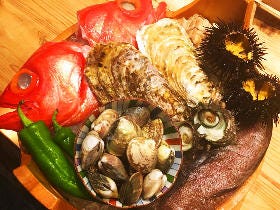 漁師直送！ 「なくほどうまい旬の魚」を食べられる『なきざかな』【神楽坂】