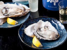 四谷『animism bar 鎮守の森』は日本酒の聖地！ ストックされているのは約2,000本の銘酒