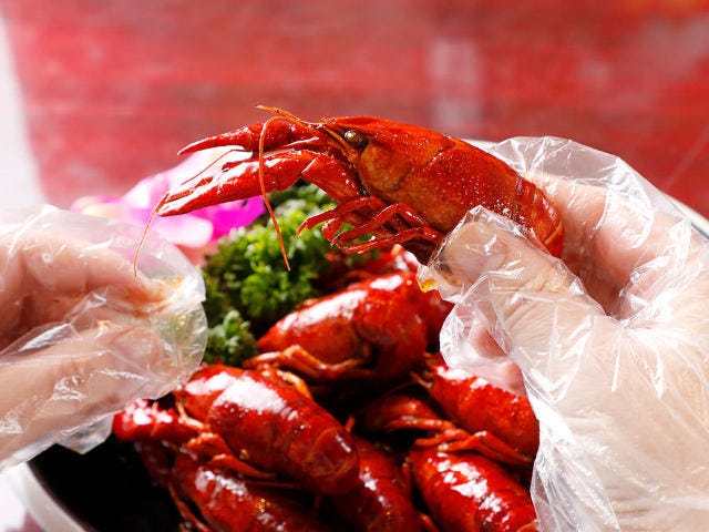 ザリガニ料理専門店 蝦道 シャドウ が高田馬場に誕生 中国で爆発的人気のザリガニ料理の魅力とは Dressing ドレッシング