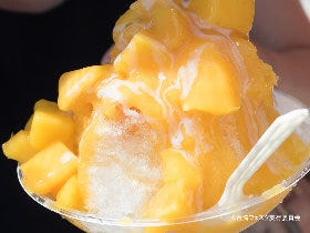 絶品「台湾グルメ」が大集合！大人気50店以上の美食が味わえる「台湾フェスタ」が代々木公園で土日に開催