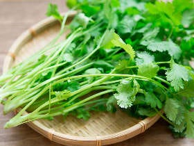 パクチーをモリモリ食べたい！ 管理栄養士に教わる、夏におすすめの簡単パクチーレシピ3選