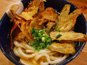 うどんで〆が博多流！ ラーメン屋『一風堂』系列の「うどん居酒屋」が恵比寿にオープン