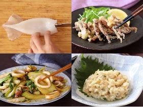 スルメイカを使った絶品おつまみレシピと基本のさばき方！