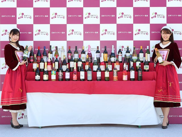 日本各地から46ワイナリーが集結！ 飲み比べが楽しすぎ「日本ワインMATSURI祭」がお台場で開催